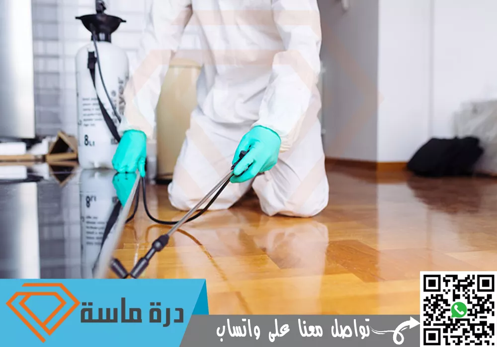 Insect control company in Sarat Abidah 01