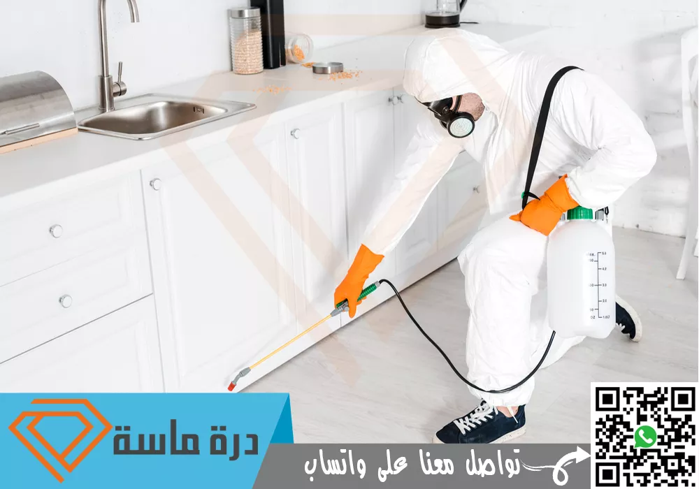 شركة مكافحة بق الفراش بأبها 🐞 | 0593428144 | رش البق 77 Insect control company in Wadi Bin Hashbel 0