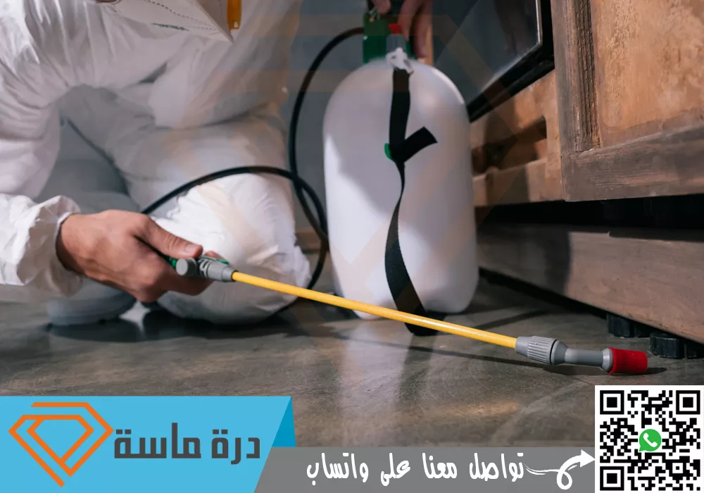 شركة مكافحة بق الفراش بأبها 🐞 | 0593428144 | رش البق 76 Insect control company in Wadi Bin Hashbel 01