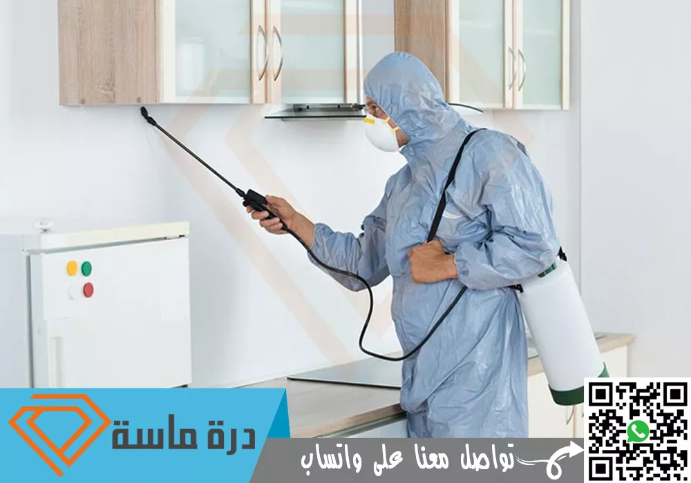 Insect control company in ahid rafida 02