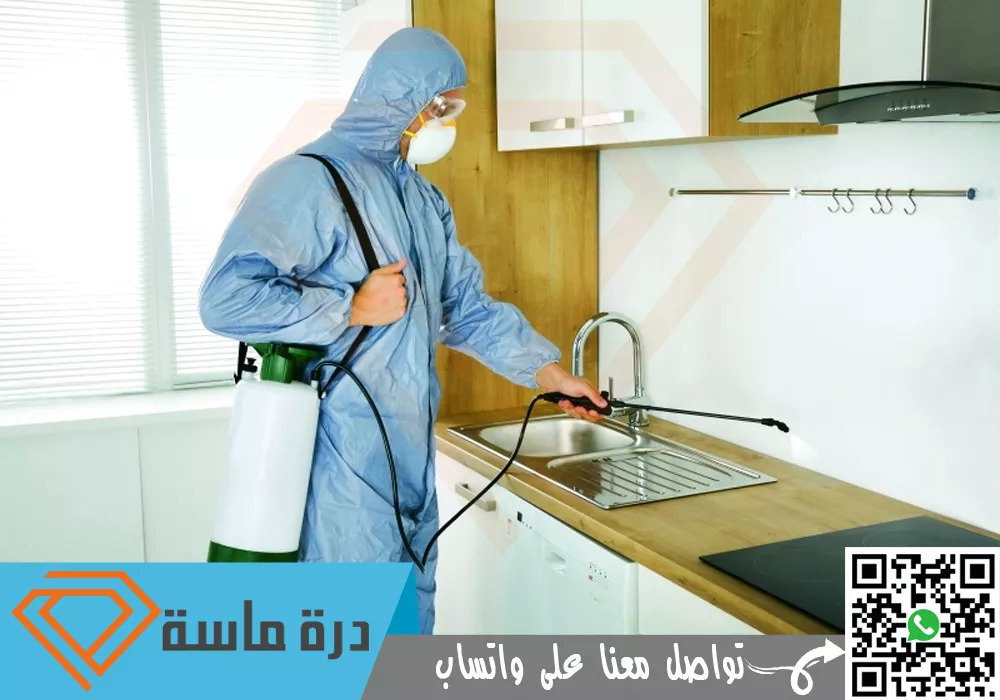 شركة مكافحة حشرات في تندحة