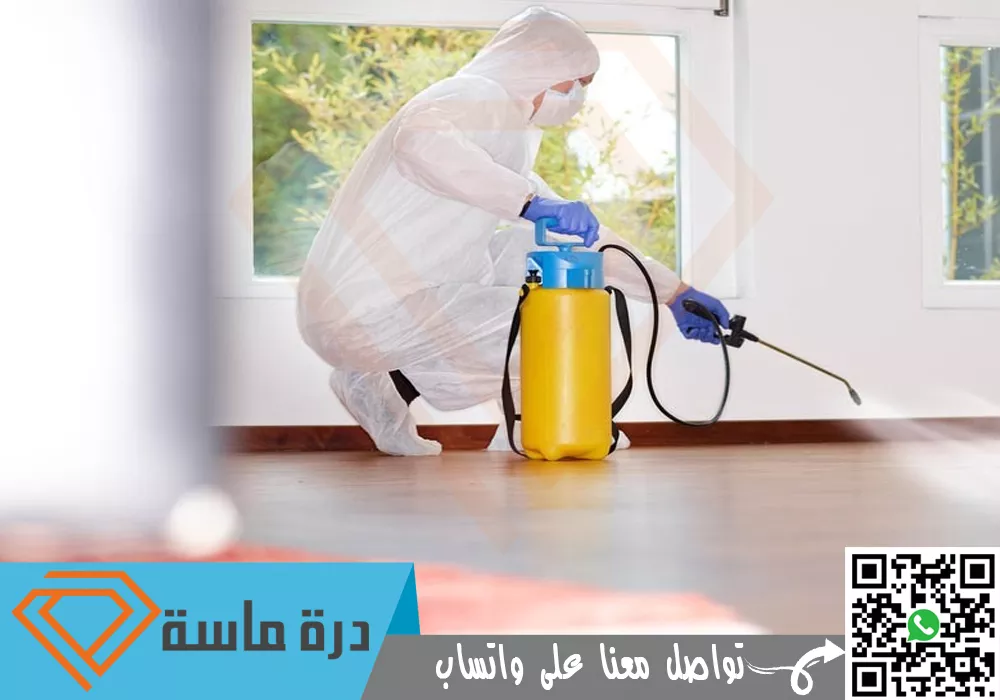 شركة مكافحة حشرات في تندحة | 0593428144 | ابادة شاملة