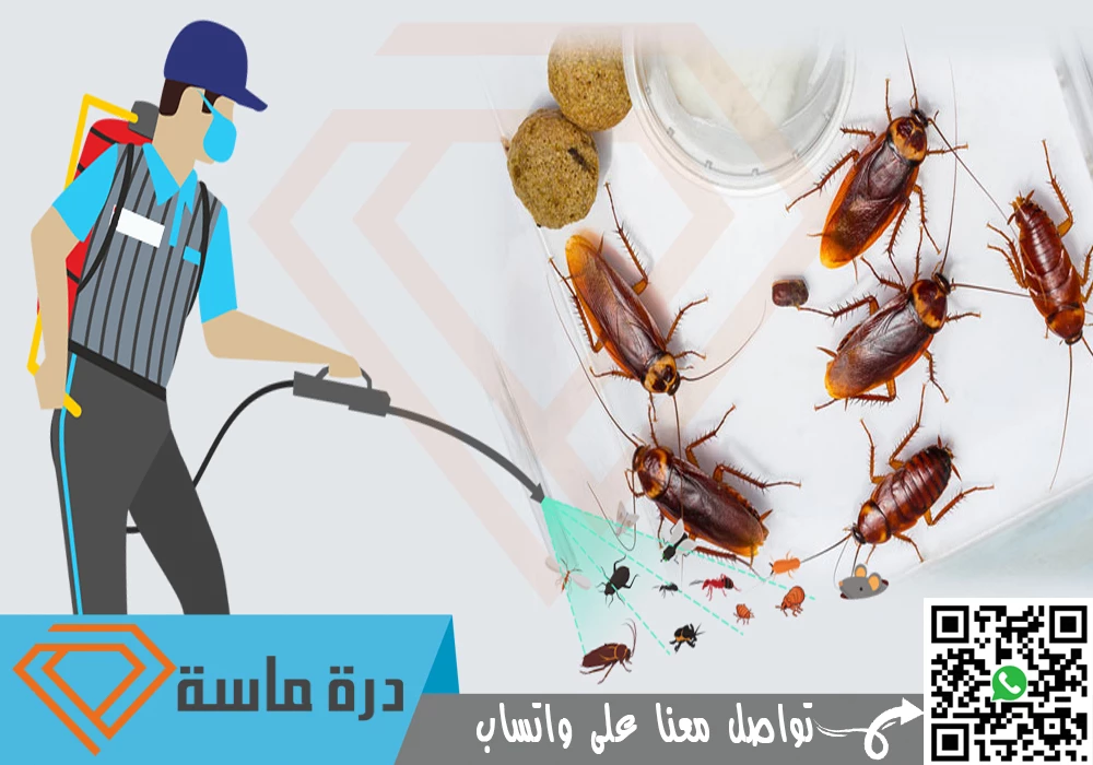 خدماتنا المتميزة وفريقنا المدرب بكفاءة عالية