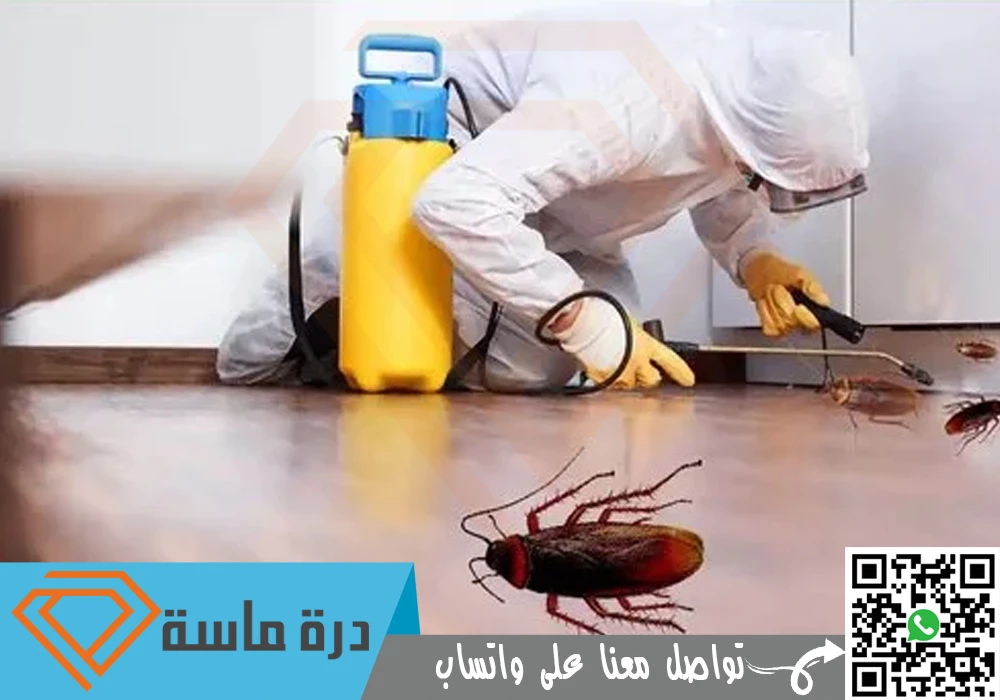 Cockroach control company in Abha 500