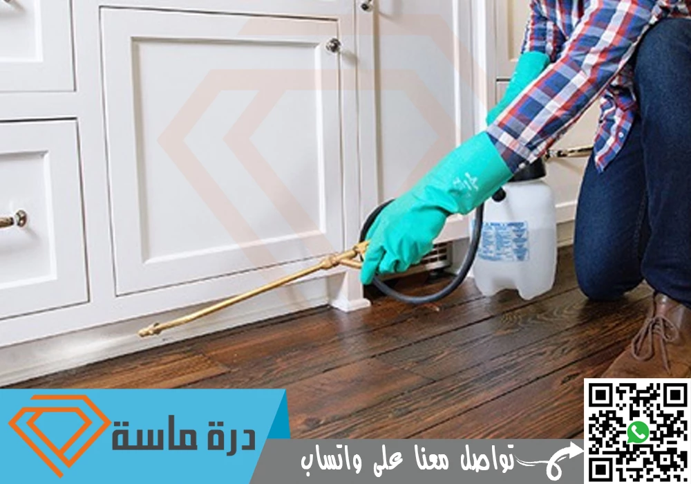 عقد مكافحة حشرات بخميس مشيط وابها | 0593428144 | مطاعم ومؤسسات 126 Pesticide spraying company in Abha 1