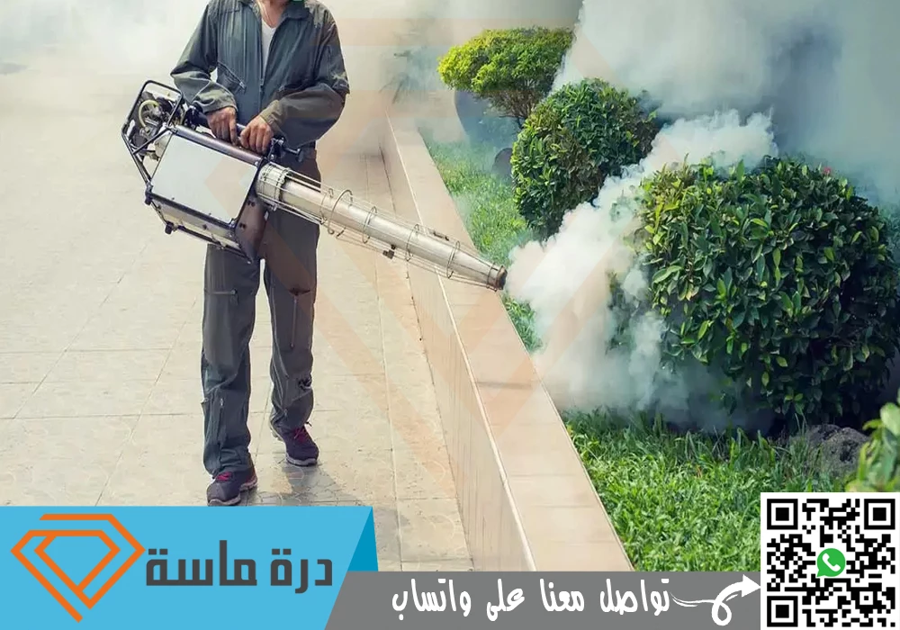 شركة مكافحة بق الفراش بأبها 🐞 | 0593428144 | رش البق 79 anti pigeon company in 2