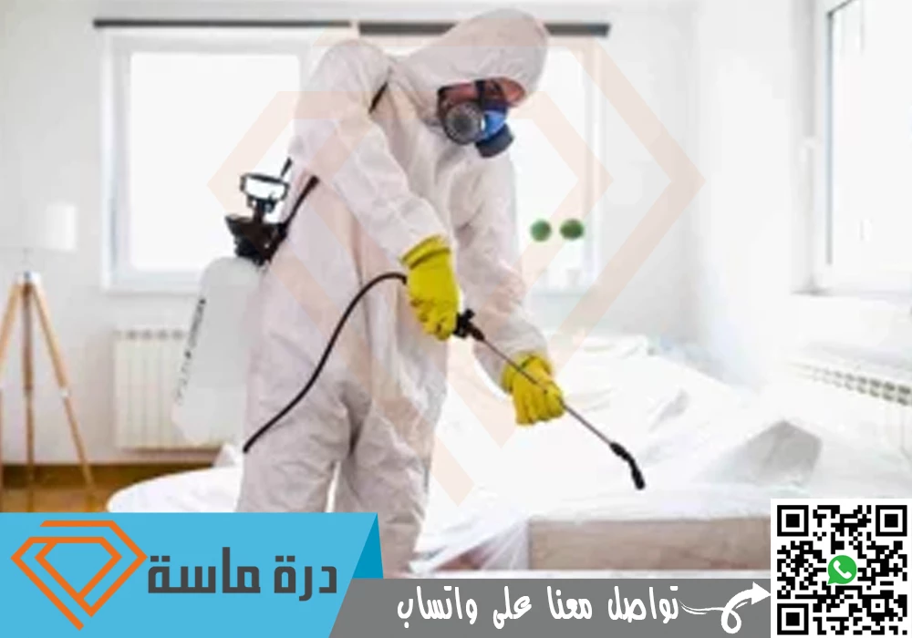 عقد مكافحة حشرات بخميس مشيط وابها | 0593428144 | مطاعم ومؤسسات 125 anti pigeon company in 3