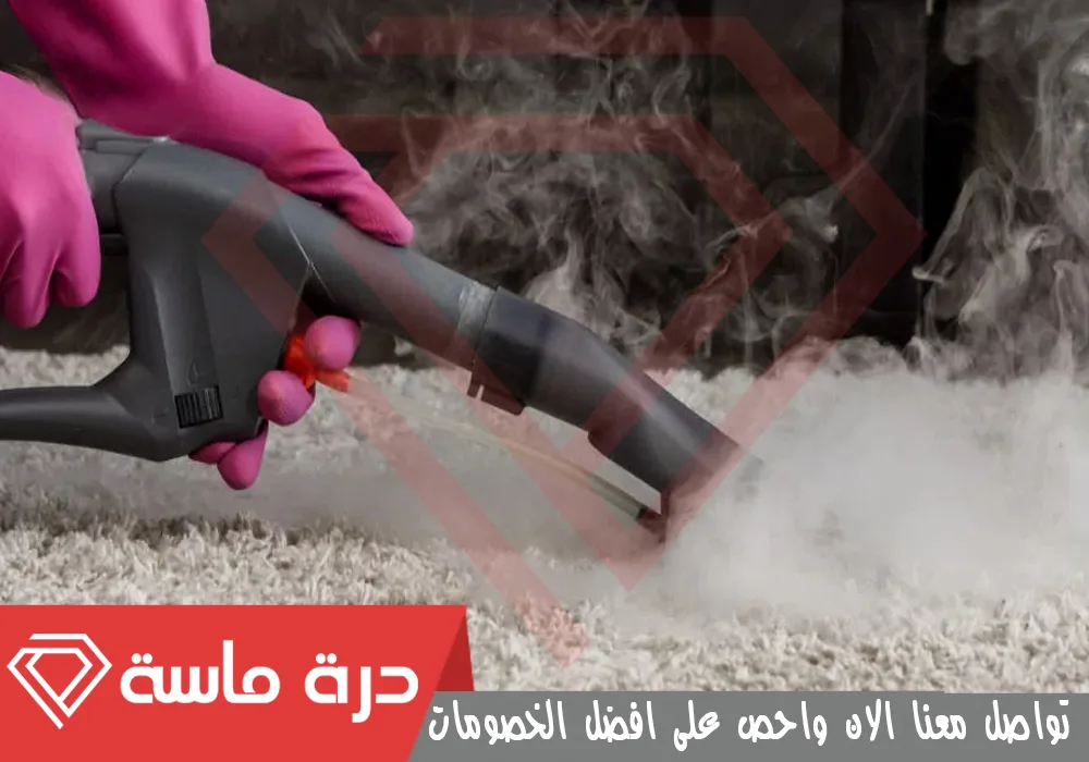 Steam cleaning company 4