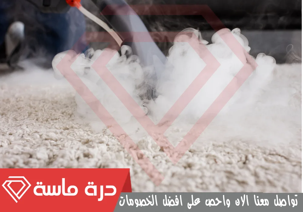 Steam cleaning company 5