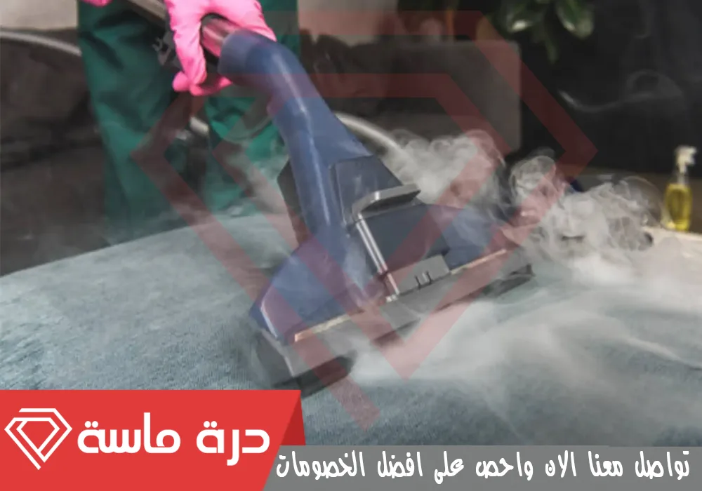 Steam cleaning company