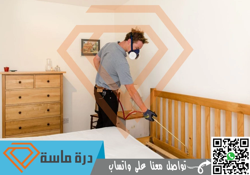 Bed bug control in Abha 01