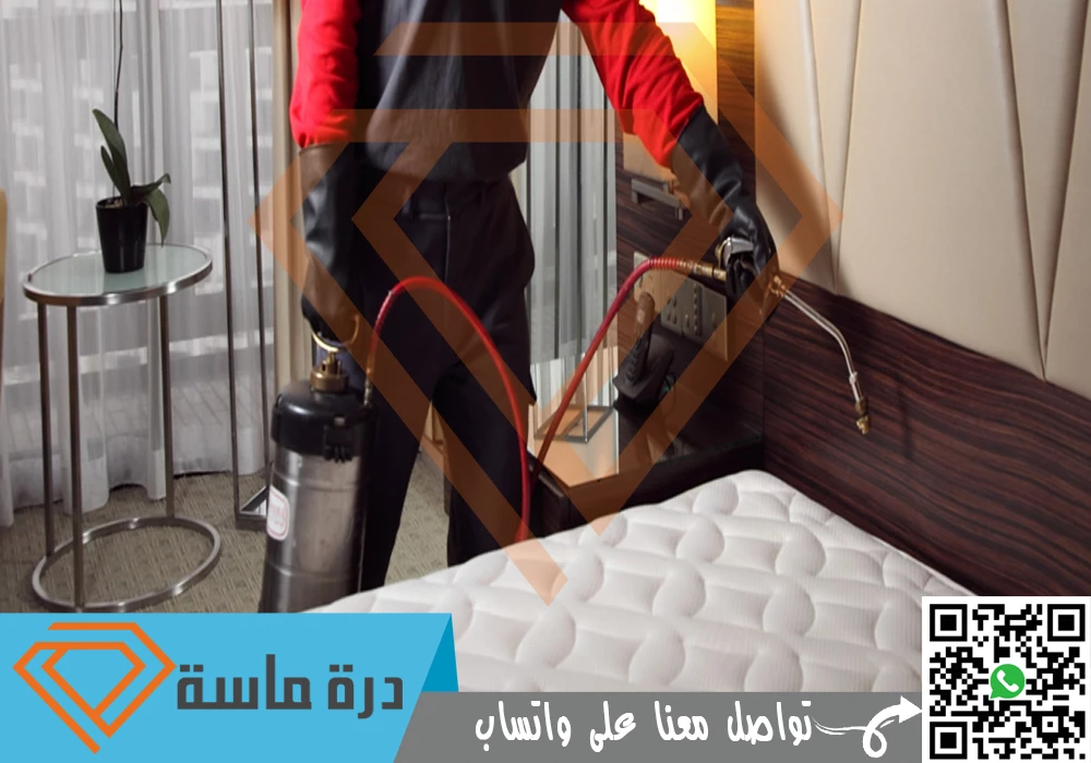 Bed bug control in Abha 02