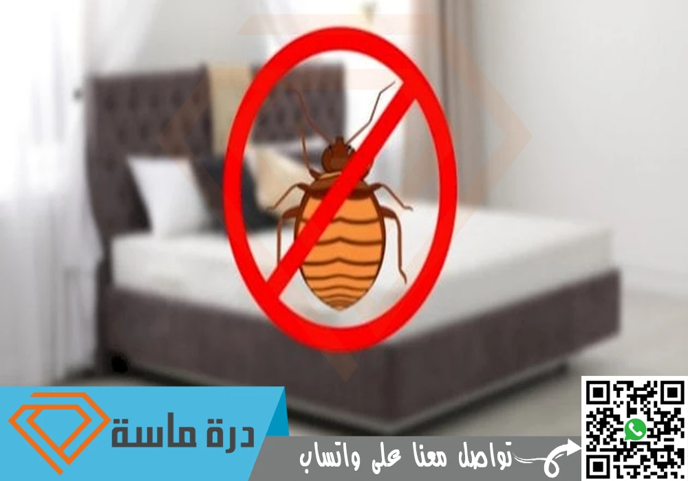 Bed bug control in Khamis Mushait 03 1