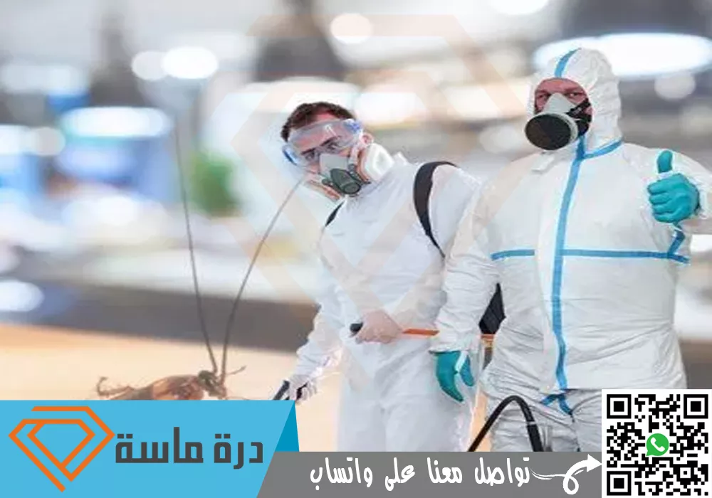 Cockroach control company in Khamis Mushait 02