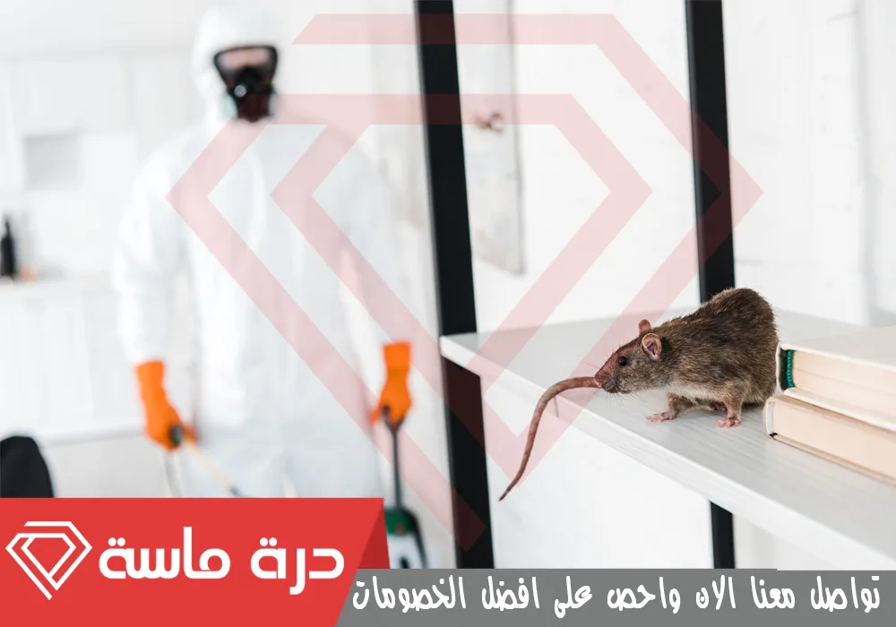 Rat and rodent pest control company