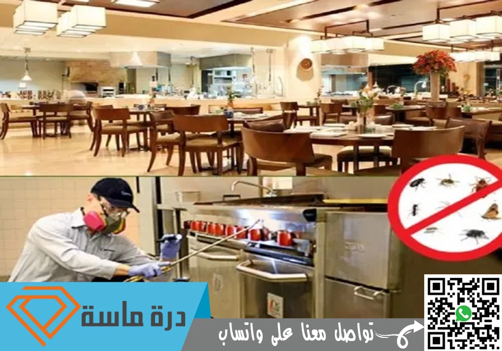 خدماتنا المتميزة وفريقنا المدرب بكفاءة عالية