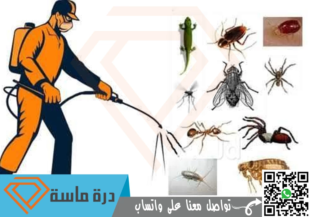 شركة مكافحة بق الفراش بأبها 🐞 | 0593428144 | رش البق 83 pest control company in Abha 0